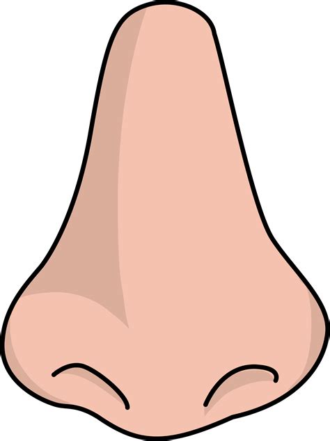 Nose Png Download Image Png All Png All