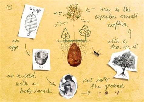 These Biodegradable Burial Pods Can Turn Cemeteries Into Forests Artofit