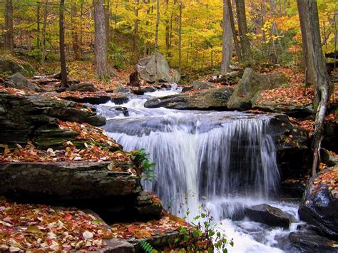 Forest Waterfall In Autumn Rocks Fallen Dry Leaves Hd Wallpaper Desktop