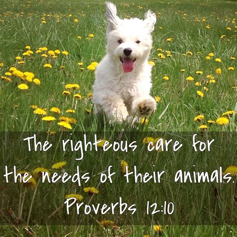 Proverbs 1210 The Righteous Care For The Needs Of Their Animals