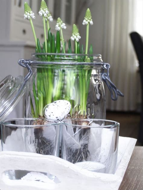 Ideen zur dekoration für den frühling und die osterzeit. Pin auf Einmachgläser dekorieren