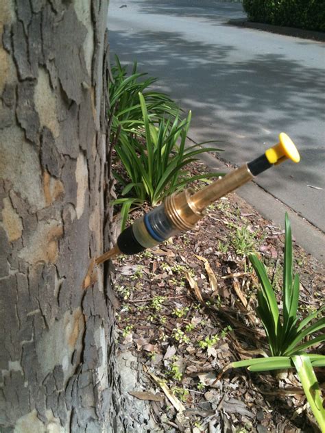 Complete pest control repellants have a some of the useful. Birds Tree Consultancy | Provides the highest qualified ...