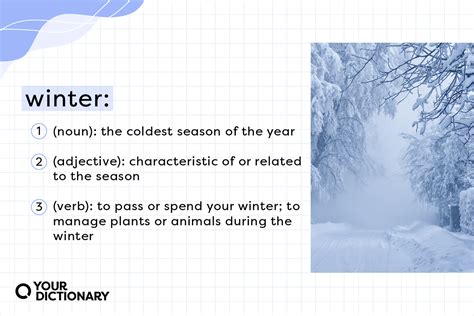 What Does “winter” Mean Defining The Coldest Season Yourdictionary