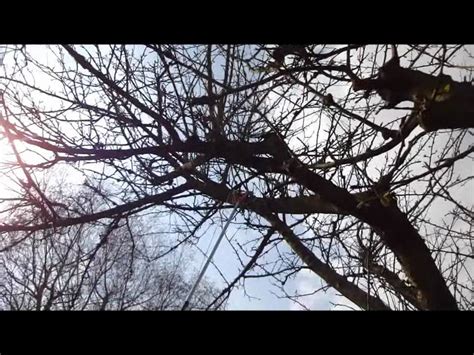 We did not find results for: Pruning a large old apple tree - YouTube