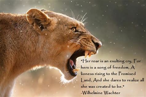 Maybe you would like to learn more about one of these? Lioness Quotes And Saying. QuotesGram