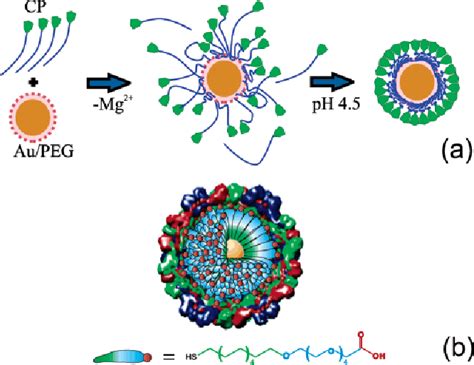 Figure 1 From Nanoparticle Templated Assembly Of Viral Protein Cages