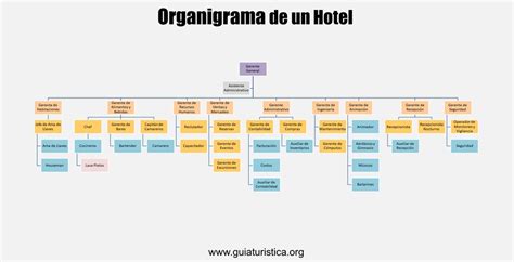 Organigrama De Un Hotel Y Sus Funciones