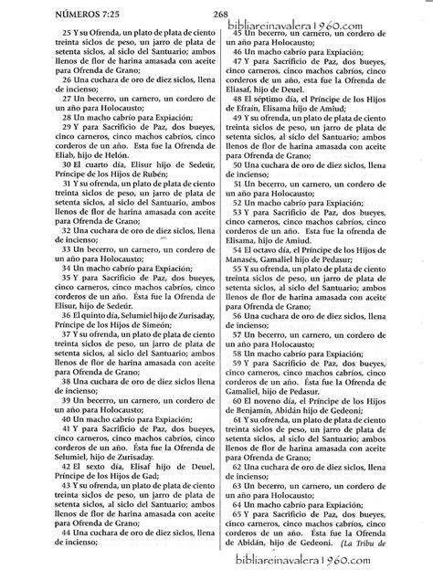 Numeros 7 Explicacion Biblia Reina Valera 1960