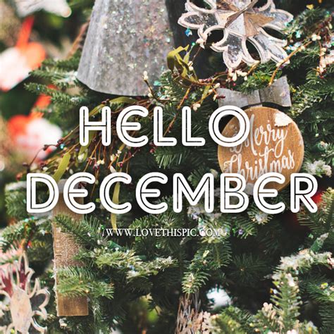 Christmas Tree Hello December Quote Pictures Photos And Images For
