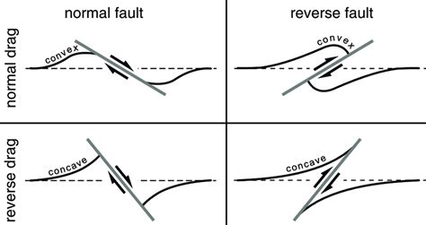 Drag Folds Develop Along Normal Faults And Reverse Faults They Can Be