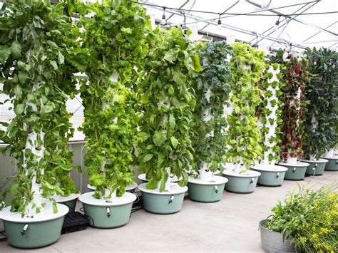 At the end of the group cooking class here at urban table culinary arts, you will be able to feast on the fruits of your labor! Trend Alert: the Urban Farm-to-Table Movement | Food ...