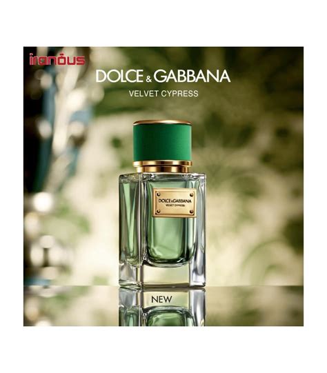 Dolce And Gabbana Velvet Cypress Eau De Toilette 100ml