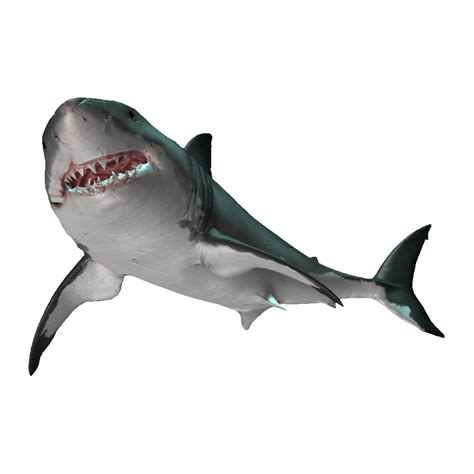 The Great White Great White Shark Photo Clipart Png Photo Hd Photos