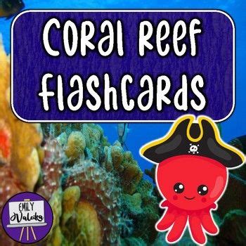 Coral Reef Flash Cards Under The Sea Photo Vocabulary Cards Flashcards Vocabulary Cards