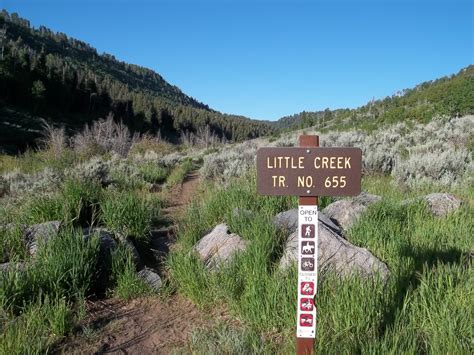 Little Creek