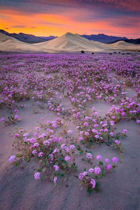 She was born february 1, 1926 to walter and florence hart of milwaukee, wi. Pin on photography