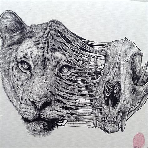 Drawing the human head would be easier if you carefully follow your guidelines. Animals Leave Their Skeletons Behind In Stunning Dark Drawings By Paul Jackson | Bored Panda