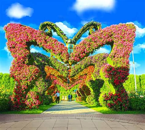 Butterfly Passage At Dubai Miracle Garden