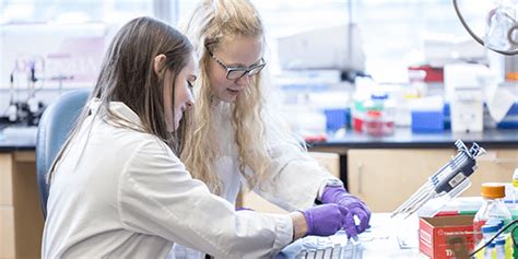 Uw Bioengineering Ranks 9th In 2019 Us News And World Report Best Graduate Schools Uw Bioengineering