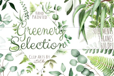 Download Greenery Watercolor Clipart Leaves | Pre-Designed Vector Graphics ~ Creative Market
