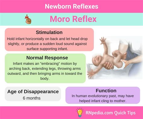 Newborn Reflexes Rnpedia
