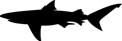 Free Free 148 Shark Silhouette Svg SVG PNG EPS DXF File