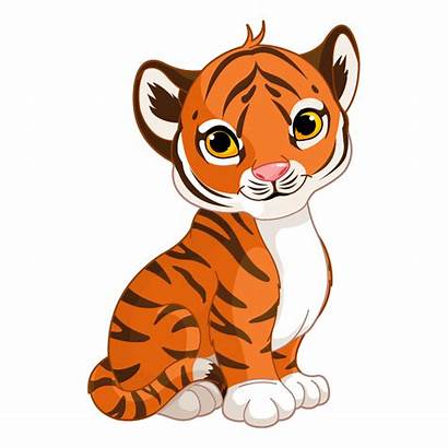 Tiger Clipart Cartoon Cub Tigre Transparent Tigers
