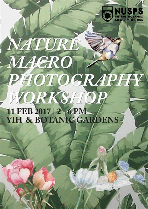 Nature Macro Photography Workshop Nusps