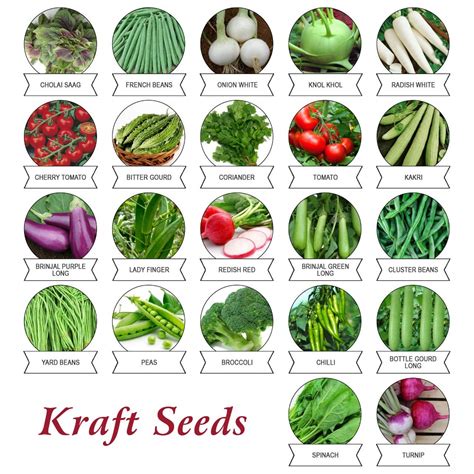 Kraft Seeds Vegetable Seeds Indian Exotic Heirloom Pack Of 22 Buy