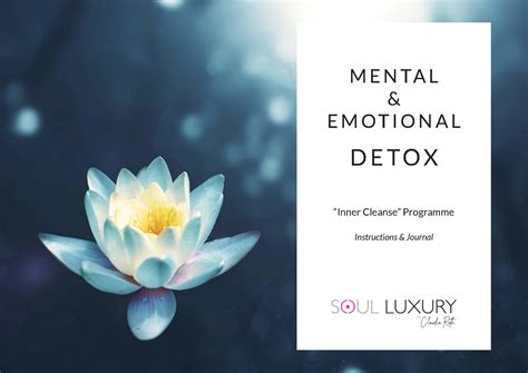 Mental And Emotional Detox Soul Luxury