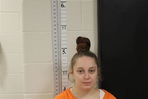 Helena Area Felony Arrests Attack With Broom Car Theft Meth Possession