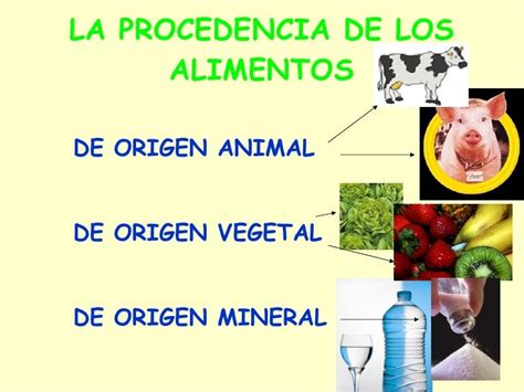 3 Ejemplos De Alimentos De Origen Mineral Imagui