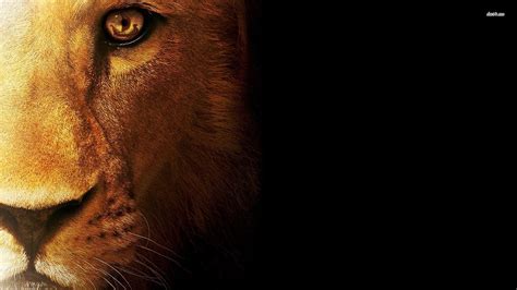 Lion Of Judah Hd Wallpapers Wallpaper Cave