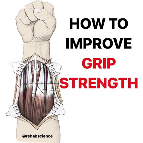 Human Grip Can Be Divided Into Two Main Categories Power And Precision