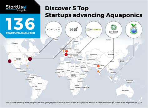 Discover 5 Top Startups Advancing Aquaponics StartUs Insights Research