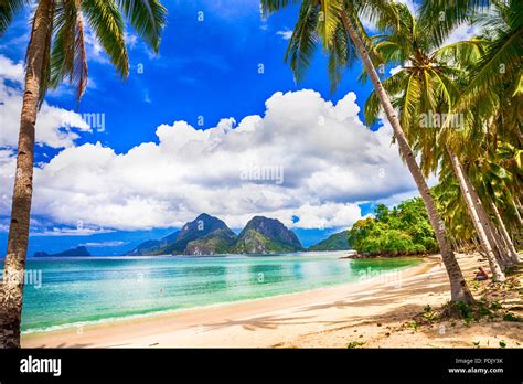 Beautiful Beach Of Palawan Philippines Stock Photo Alamy