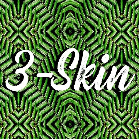 3 Skin
