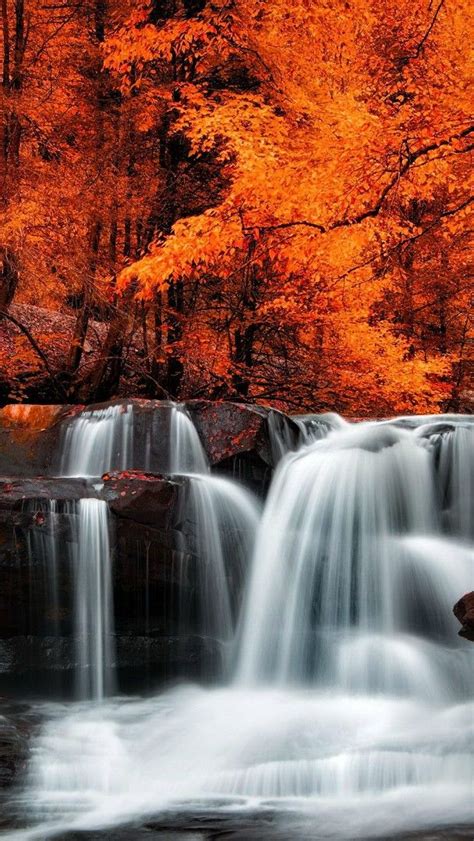 Autumn Waterfall Backiee