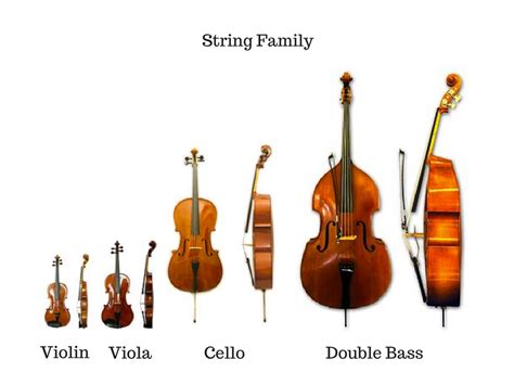 Orchestral Sounds 4 Strings A Deep Dive Saundcheck A Blog By