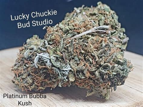 Platinum Bubba Kush Lucky Chuckie — Lucky Chuckie 247 Cannabis