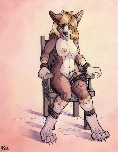 Rule 34 Anthro Bondage Breasts Canine Chair Corgi Female Fur Furry