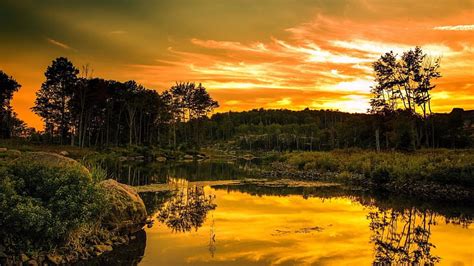 A Golden Day In The Forest River Sun 1920x1080 Bonito Sunset