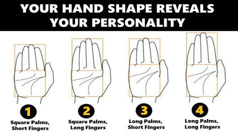 Hand Shape Personality Test Your Hands Reveal Your True Personality Traits