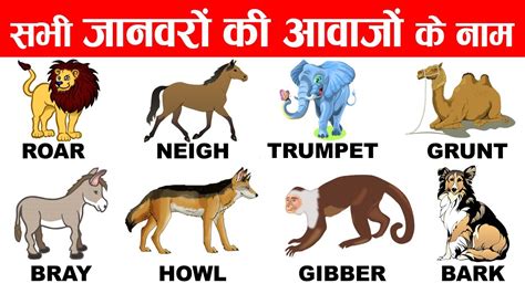 Animal Names And Sounds In English And Hindi For Kids Various Animal