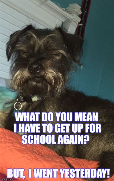 Tip of the day meme. Image result for 2nd day of school meme | Teaching memes ...