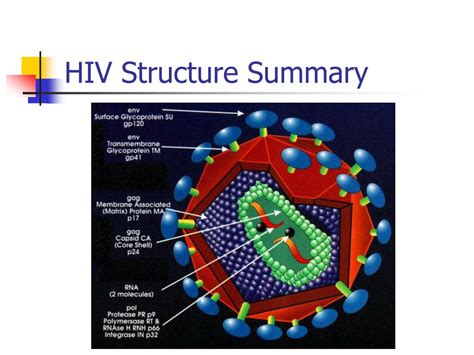 Ppt Hiv And Aids Powerpoint Presentation Free Download Id1411185