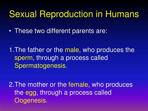 Ppt Reproduction In Humans Spermatogenesis Oogenesis Conception Implantationand Introduction
