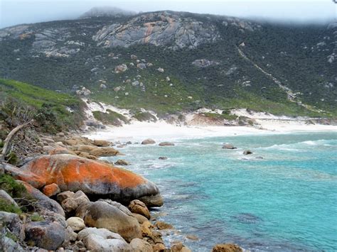 If pitching a tent at wilsons prom campground doesn't sound much fun to you, then you can rent one of the tidal river cabins. Coastal View Cabins Wilsons Prom - cabin