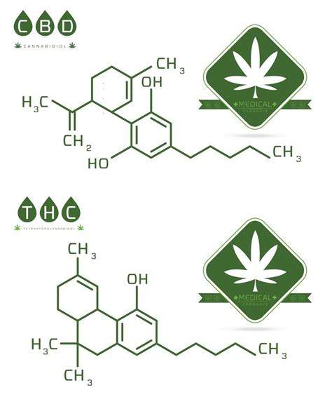 Cbd Vs Thc Get The Facts About The Difference