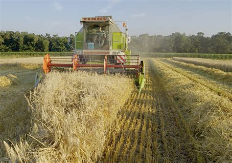 Das entspricht etwa 1,8 millionen fußballfeldern. Fotos zum Ackerbau - Landwirtschaftskammer Nordrhein-Westfalen